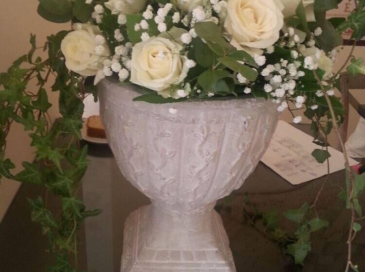 בית מלון כפרי Ionia Suites