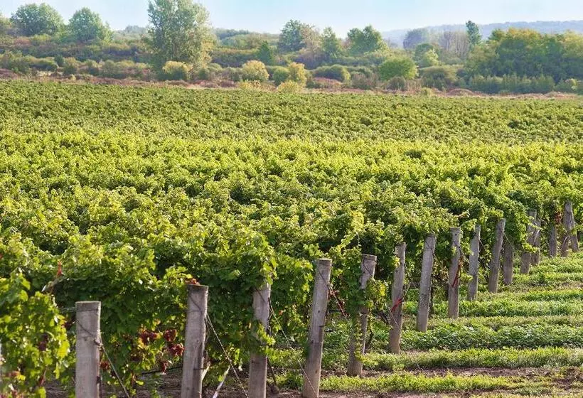 Отель Jordan House