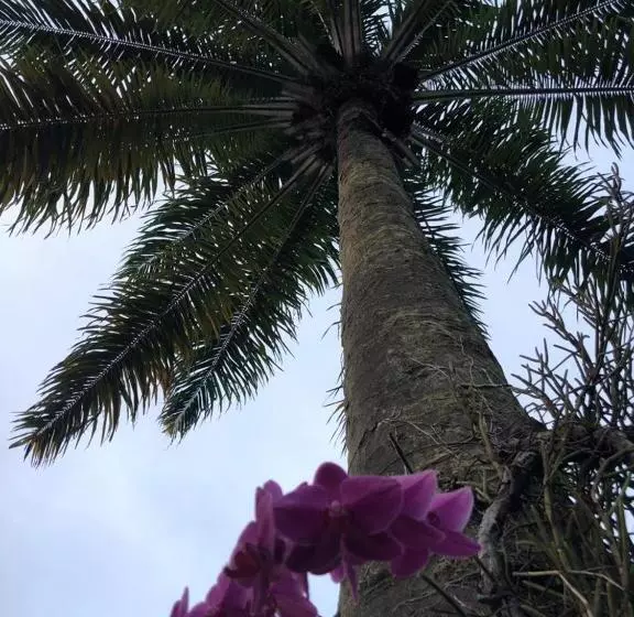 هتل Morro De Sao Paulo