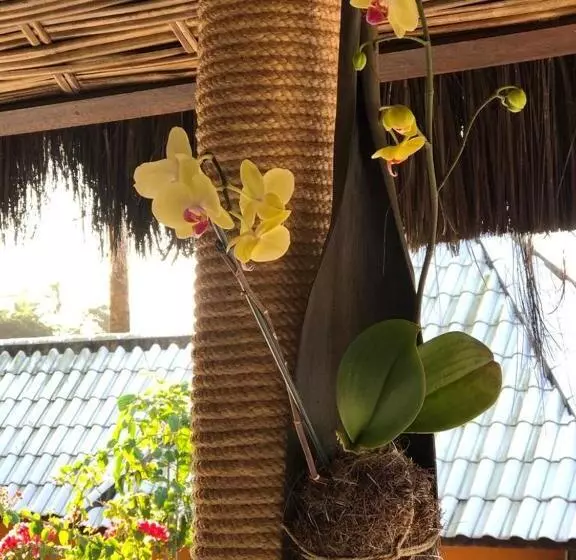 هتل Morro De Sao Paulo