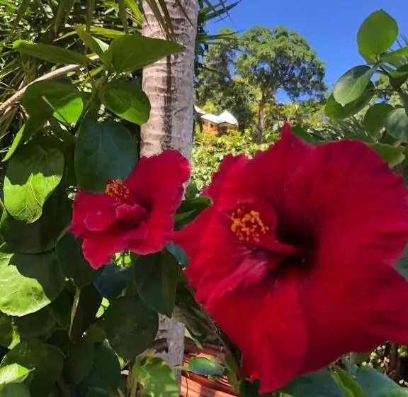 هتل Morro De Sao Paulo