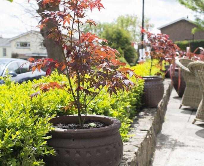 酒店 The Beaufort, Raglan