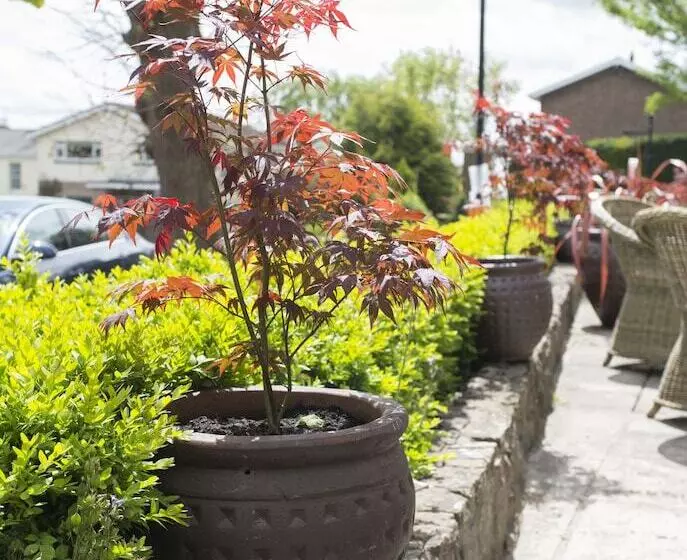 فندق The Beaufort, Raglan