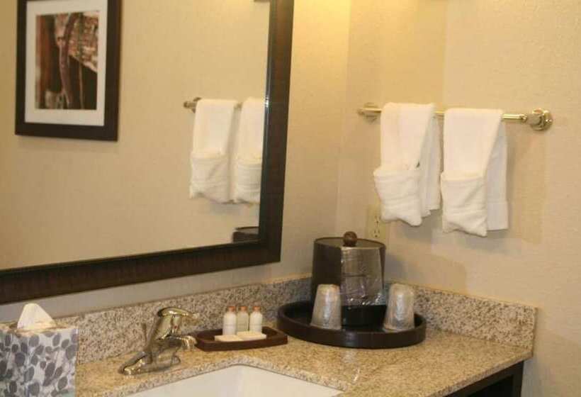 فندق Comfort Inn & Suites