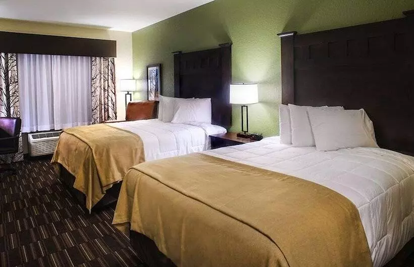 Отель Comfort Inn & Suites