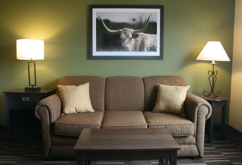 فندق Comfort Inn & Suites