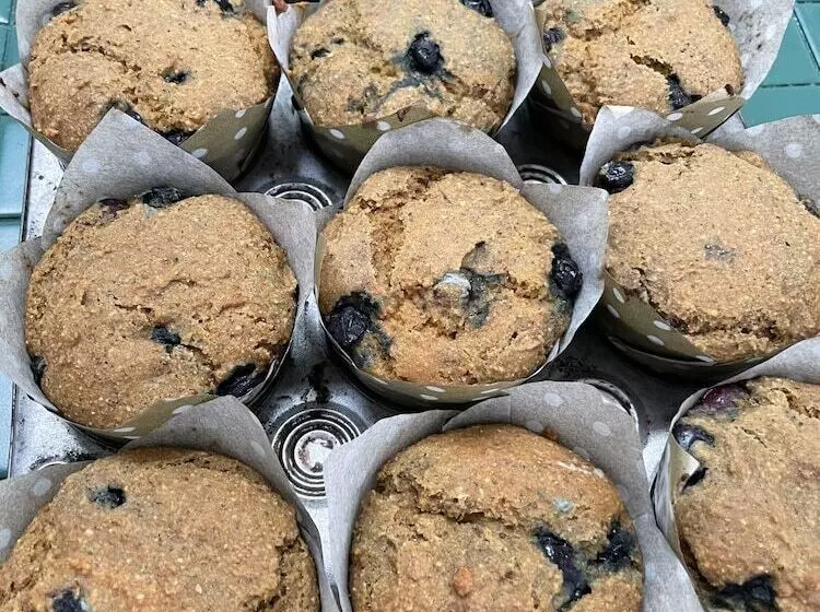 膳宿费 The Harbor Rose