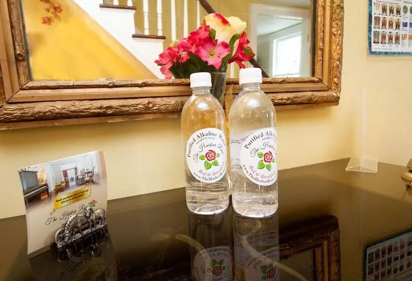 膳宿费 The Harbor Rose