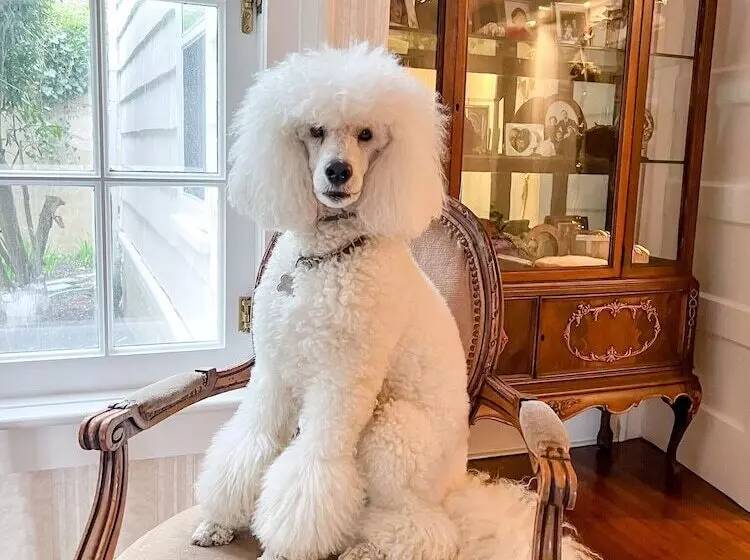 膳宿费 The Harbor Rose