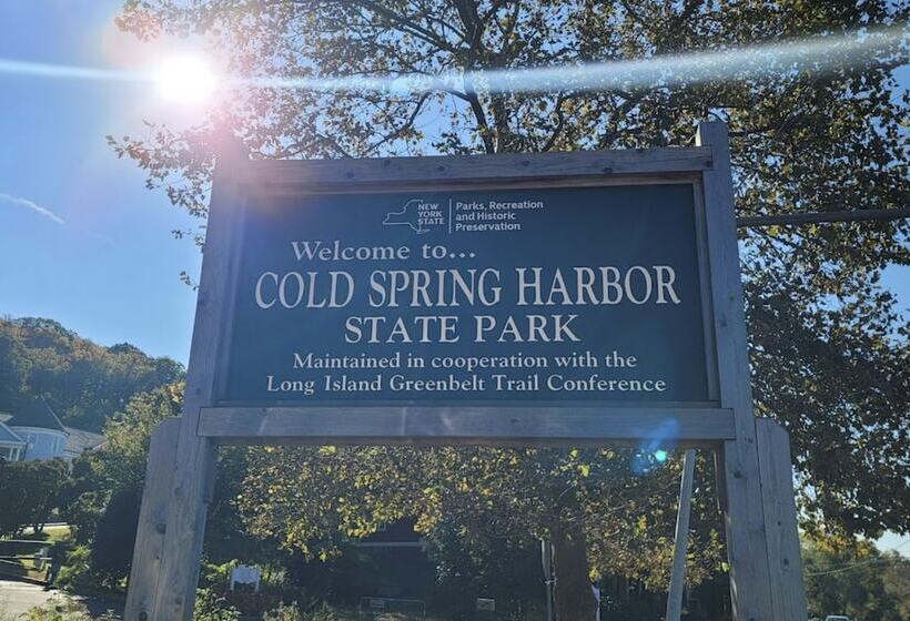 פנסיון The Harbor Rose