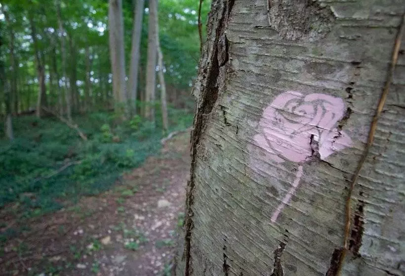 膳宿费 The Harbor Rose