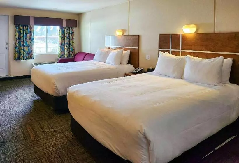 Hotelli Quality Inn & Suites