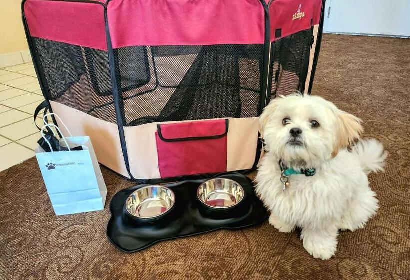 ホテル Quality Inn & Suites