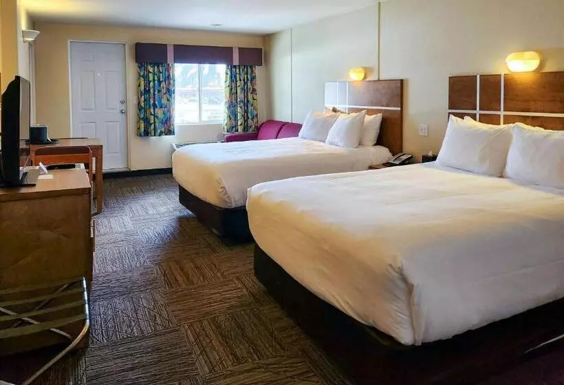 Hotelli Quality Inn & Suites