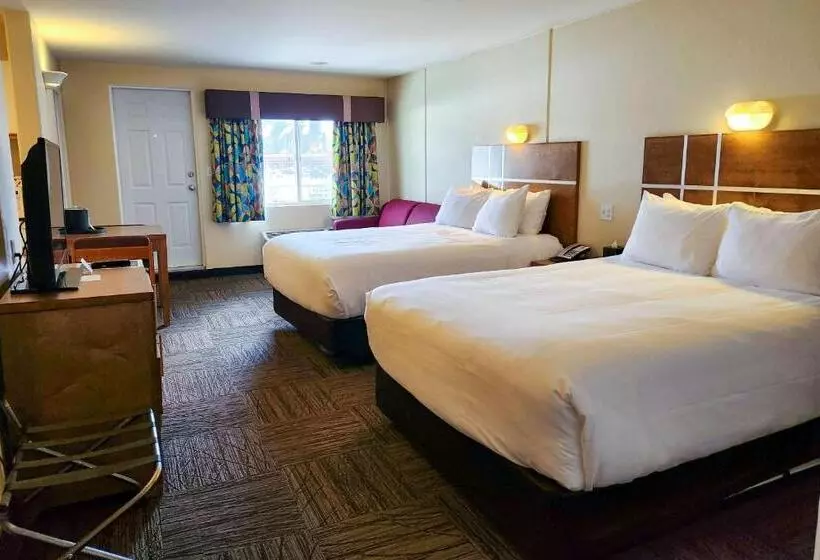 Hotelli Quality Inn & Suites