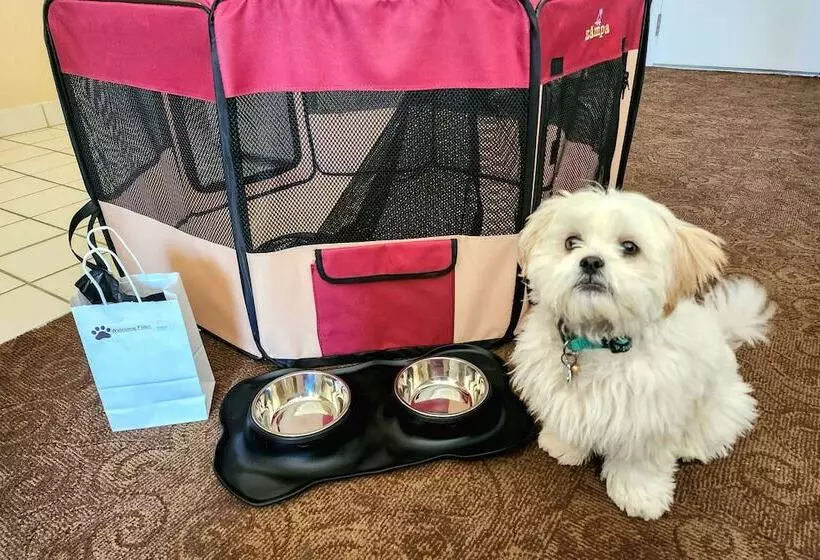 Hotelli Quality Inn & Suites