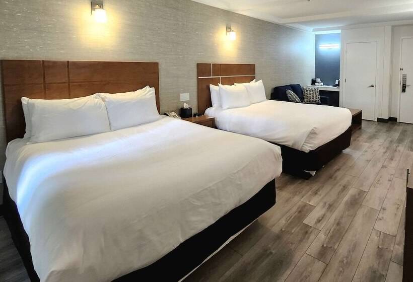 ホテル Quality Inn & Suites