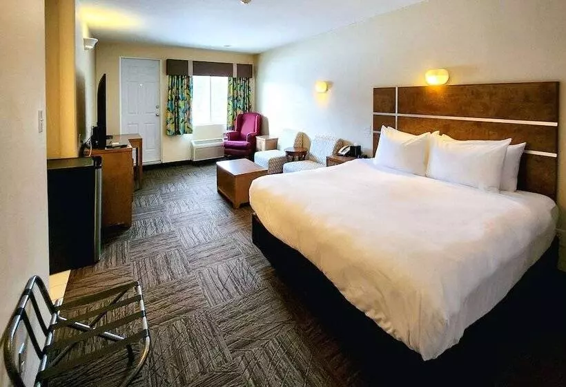 Hotelli Quality Inn & Suites