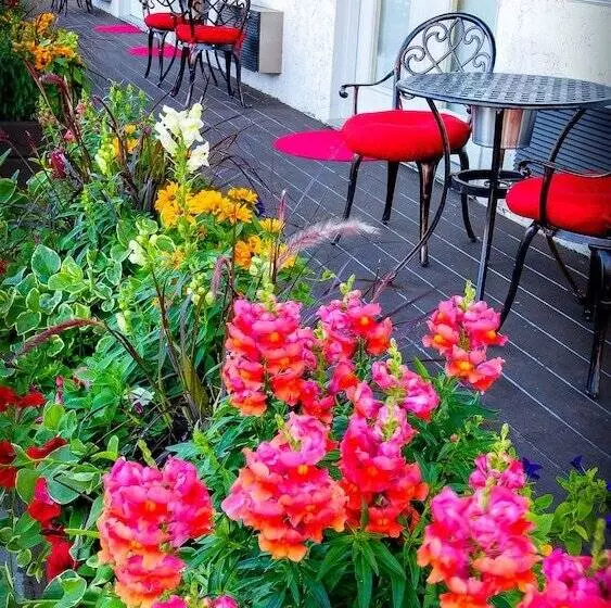 בית מלון כפרי Bavarian Inn, Black Hills