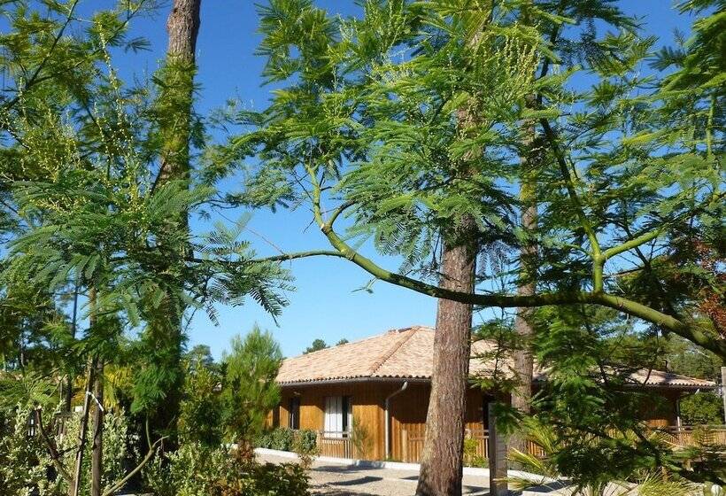 酒店 Domaine Du Ferret Restaurant & Spa