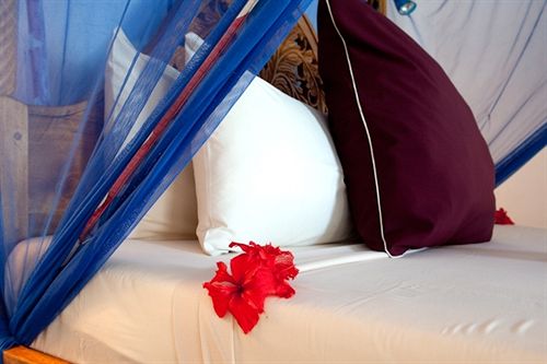 فندق Pongwe Beach