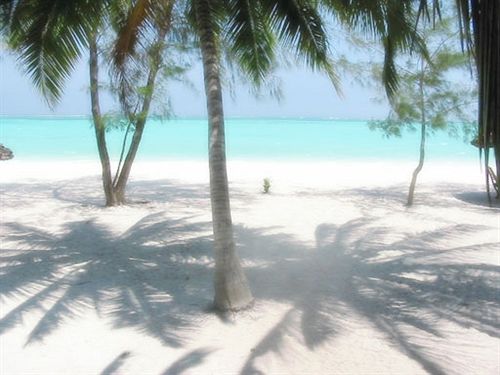 فندق Pongwe Beach