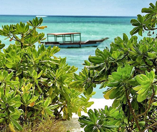 فندق Pongwe Beach