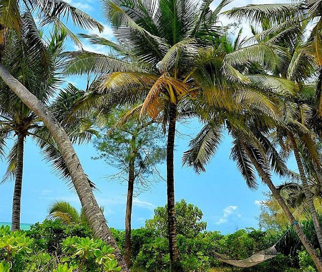 فندق Pongwe Beach