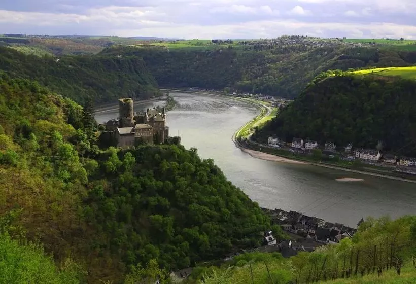 Pohl S Rheinhotel Adler