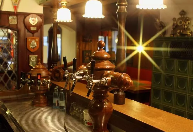 Pohl S Rheinhotel Adler