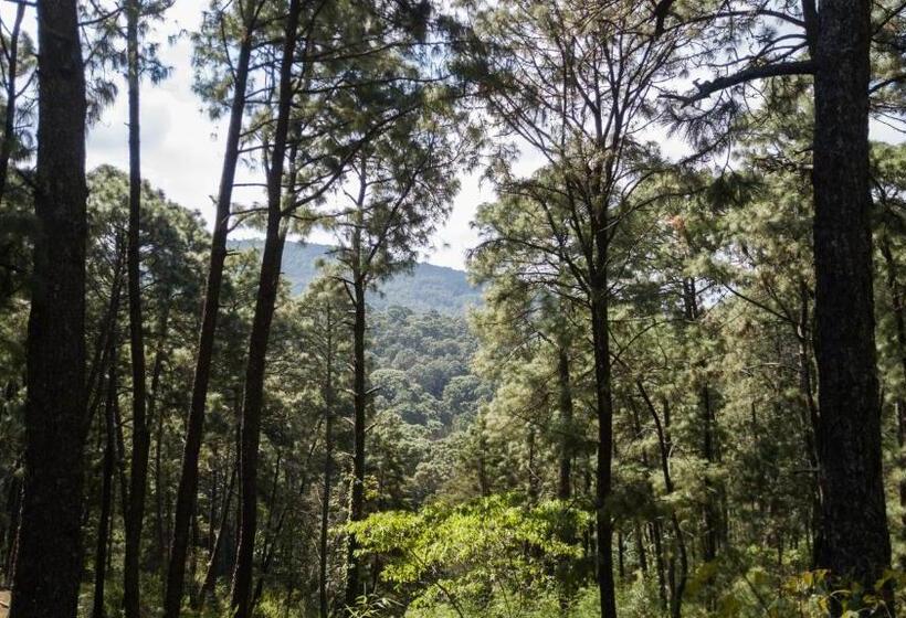 منتجع Monteverde