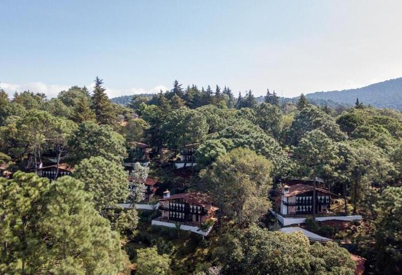 منتجع Monteverde