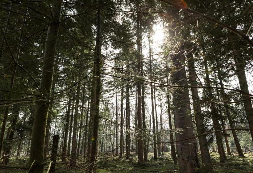 Stayokay Hostel Apeldoorn