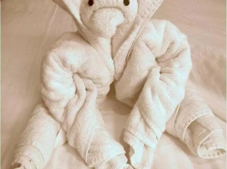 هتل Ecologico Toral