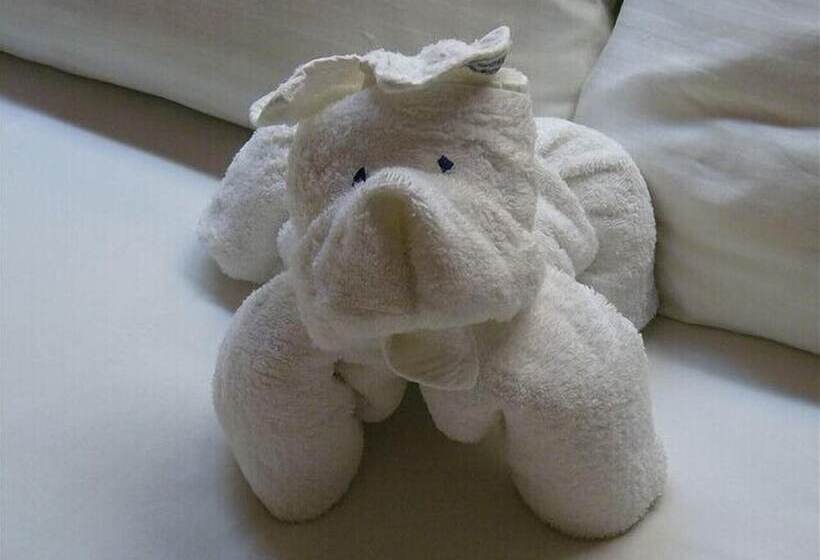 ホテル Ecologico Toral