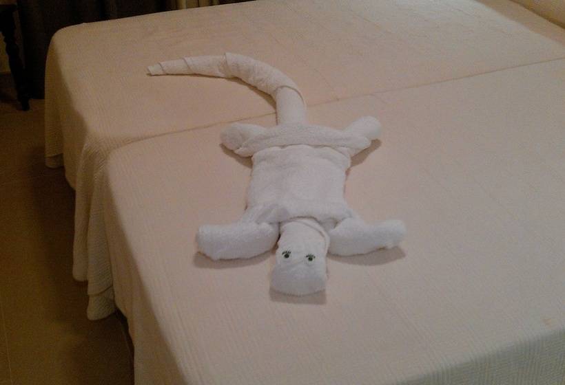 ホテル Ecologico Toral