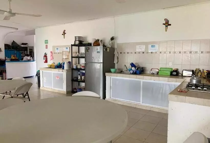 Hotel Grand Hostal Playa