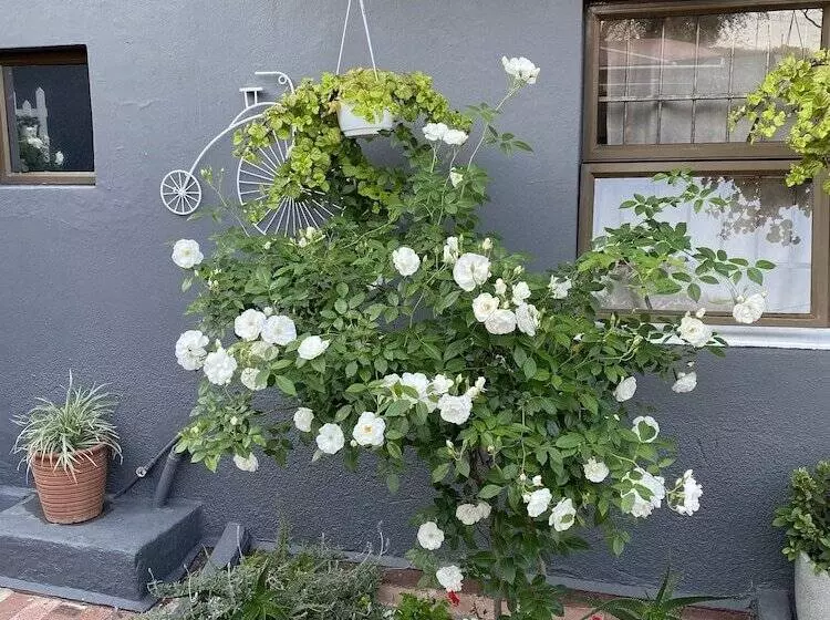 فندق Marion Lodge