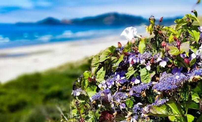 فندق Nye Beach Cottages