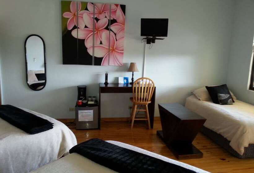 فندق Out Of Bounds