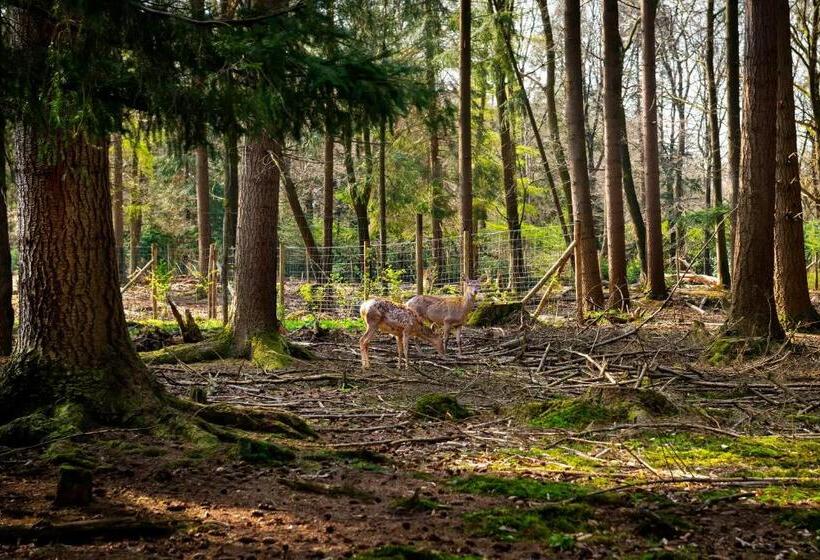 Stayokay Hostel Apeldoorn