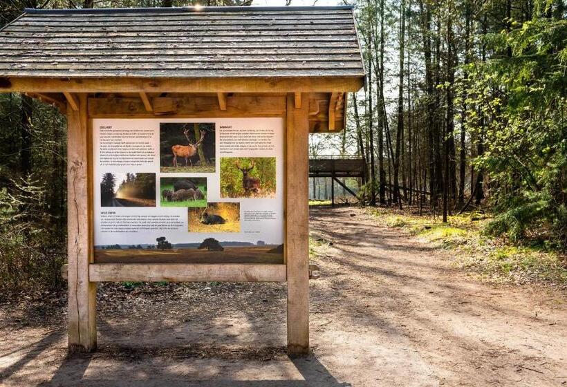 Stayokay Hostel Apeldoorn