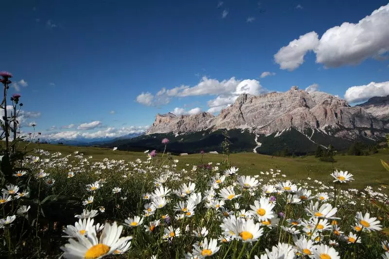 Dolomites Hotel La Fradora