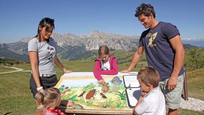 Dolomites Hotel La Fradora