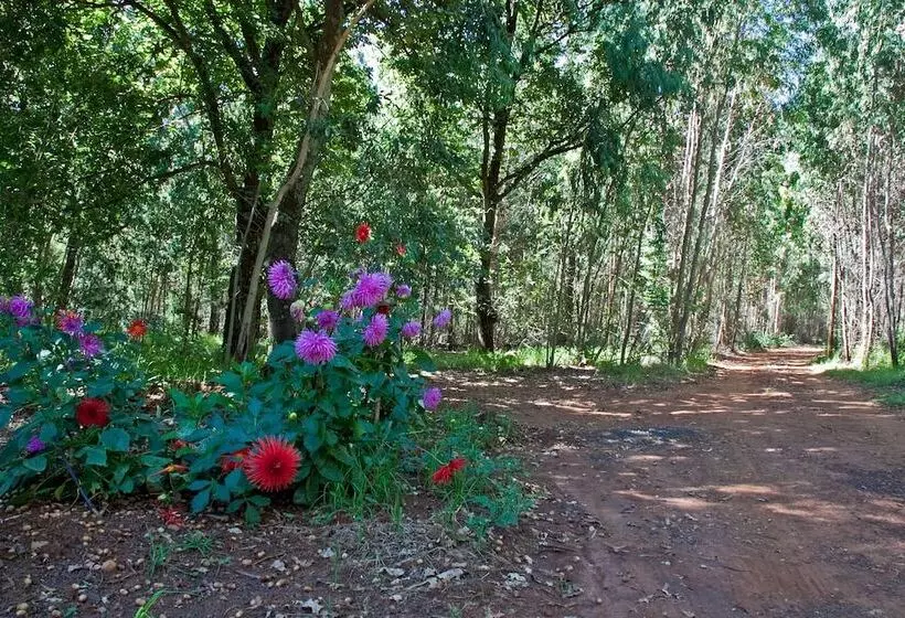 Hotelli Rainbow Lodge