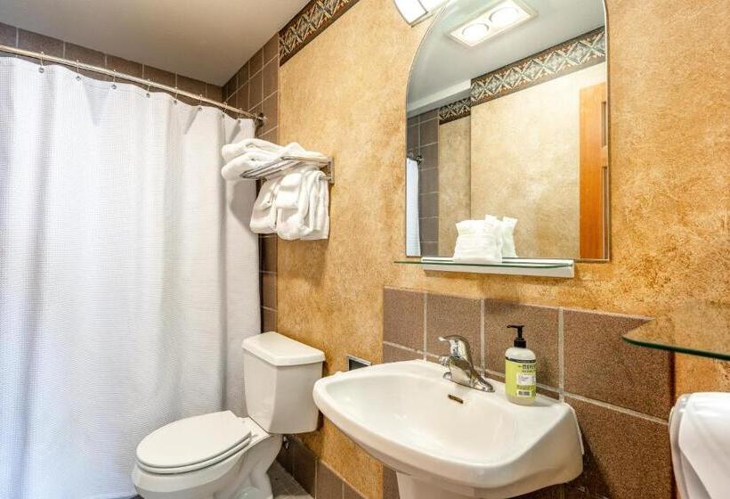 هتل Shoshone Condo 1950