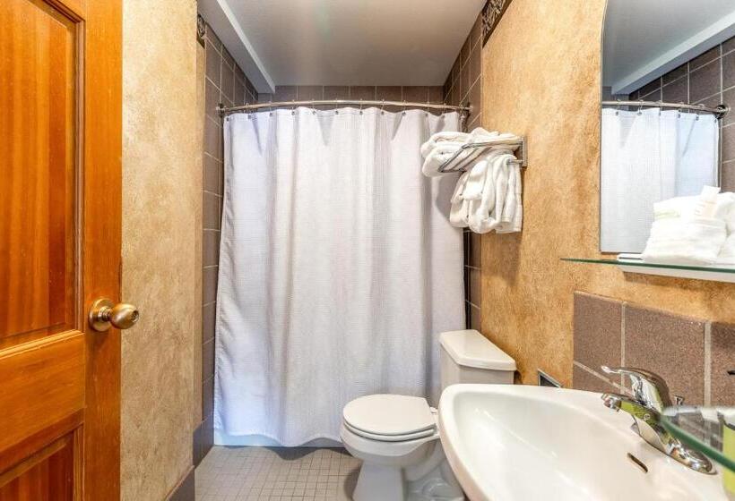 هتل Shoshone Condo 1950