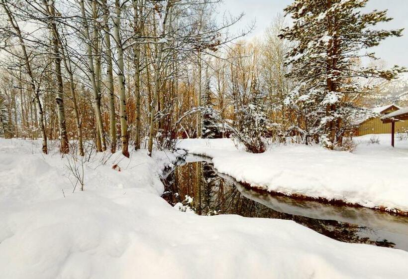 호텔 1123 Indian Paintbrush