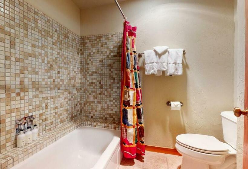 호텔 1123 Indian Paintbrush