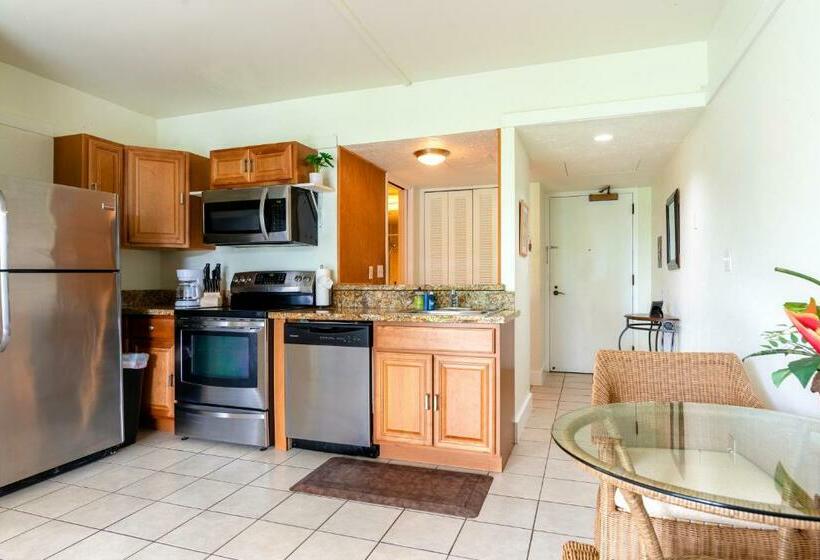 Otel Waiakea Villas 2 207